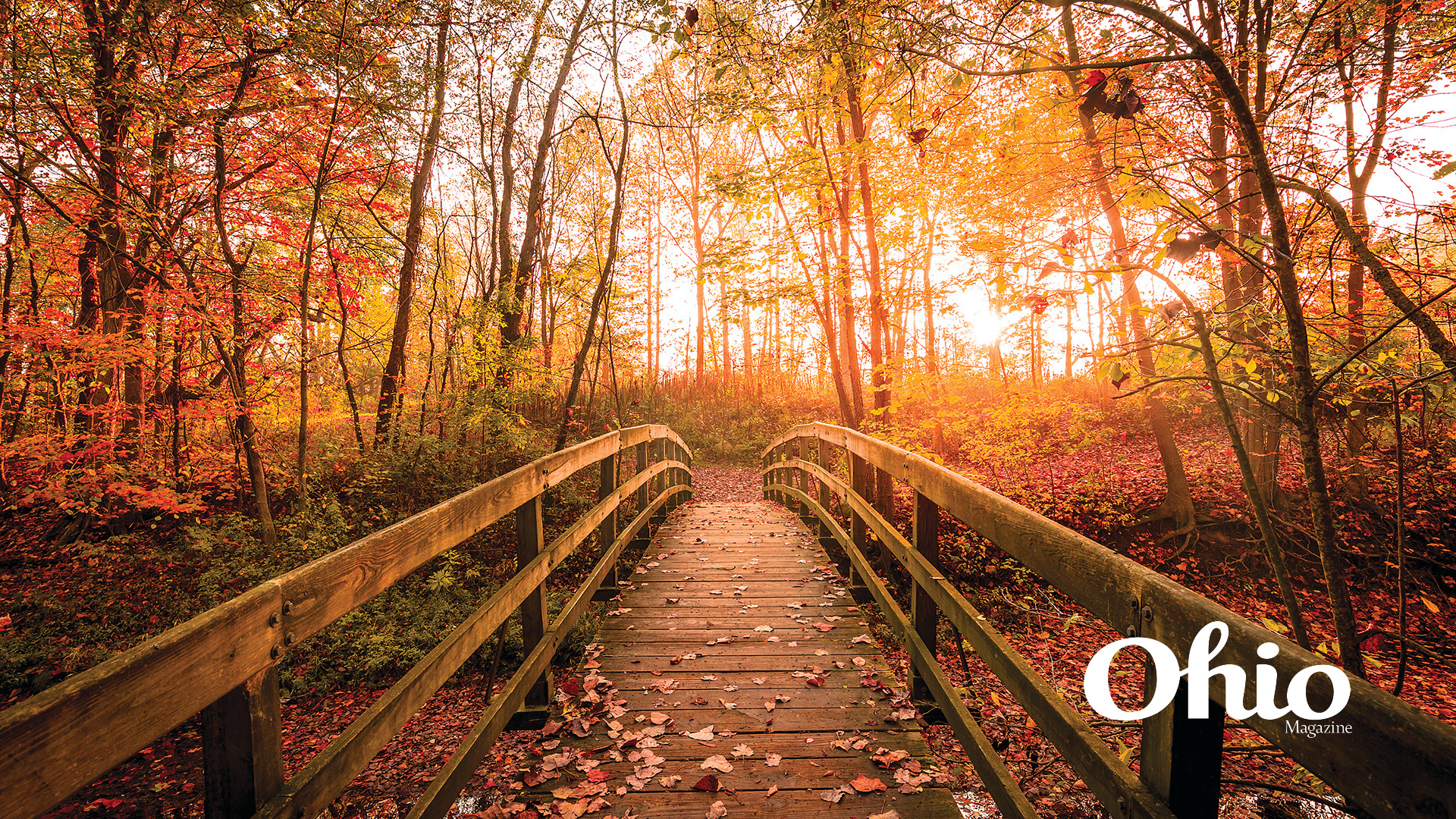 fall zoom background images fall zoom background images