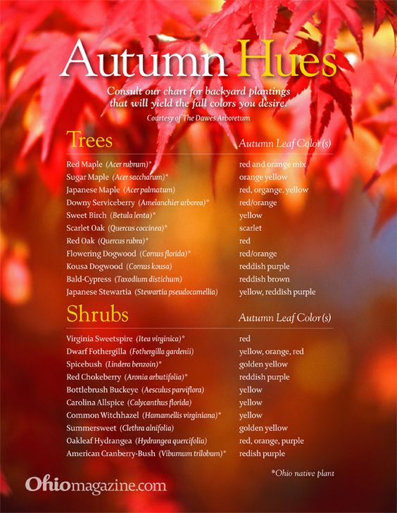 Autumn Hues Chart Autumn Hues Chart