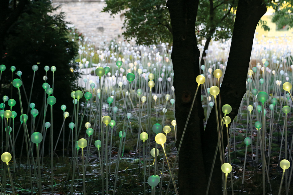 Bruce Munros Field of Light