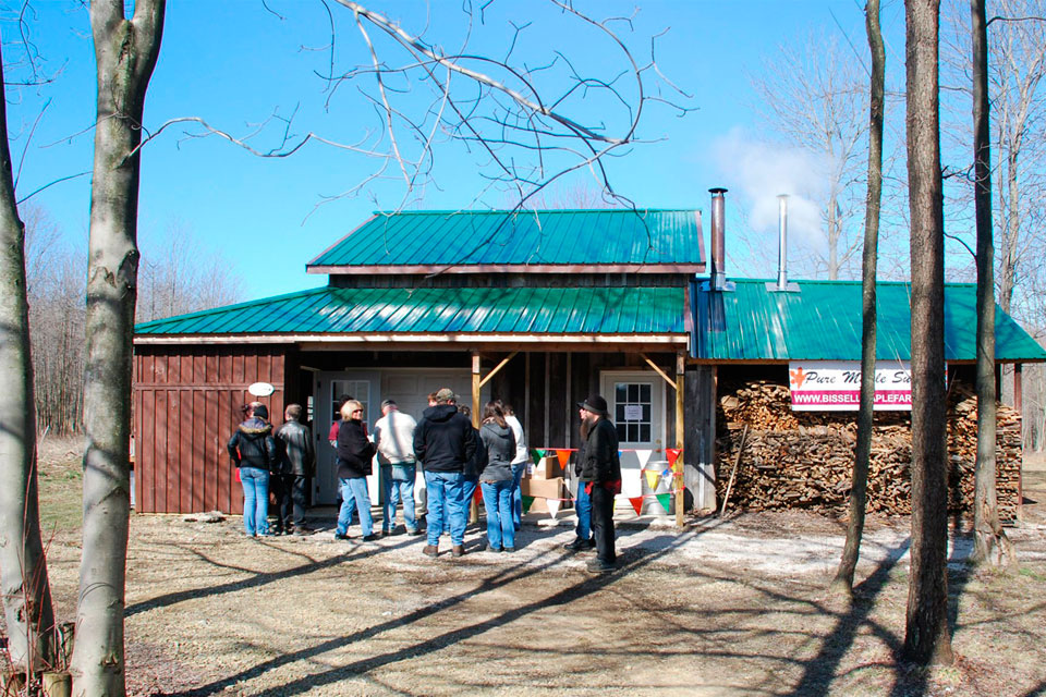 Maple_Bissell Bissell Maple Farm
