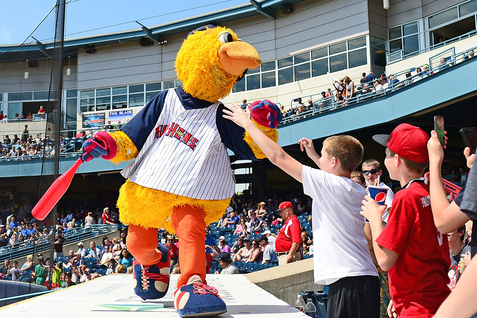 Toledo Mudhens Budget Baseball