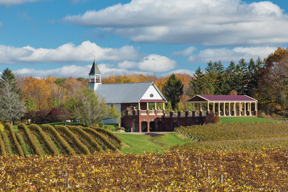 South River Vineyard 2014 South River Vineyard 2014