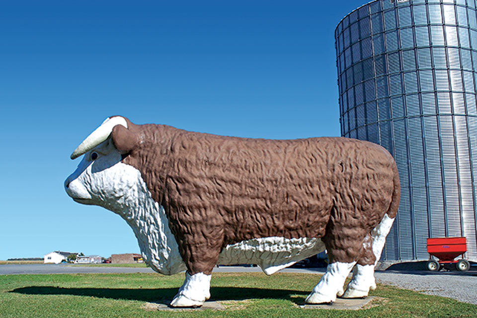 Gilboa-Bull Gilboa-Bull