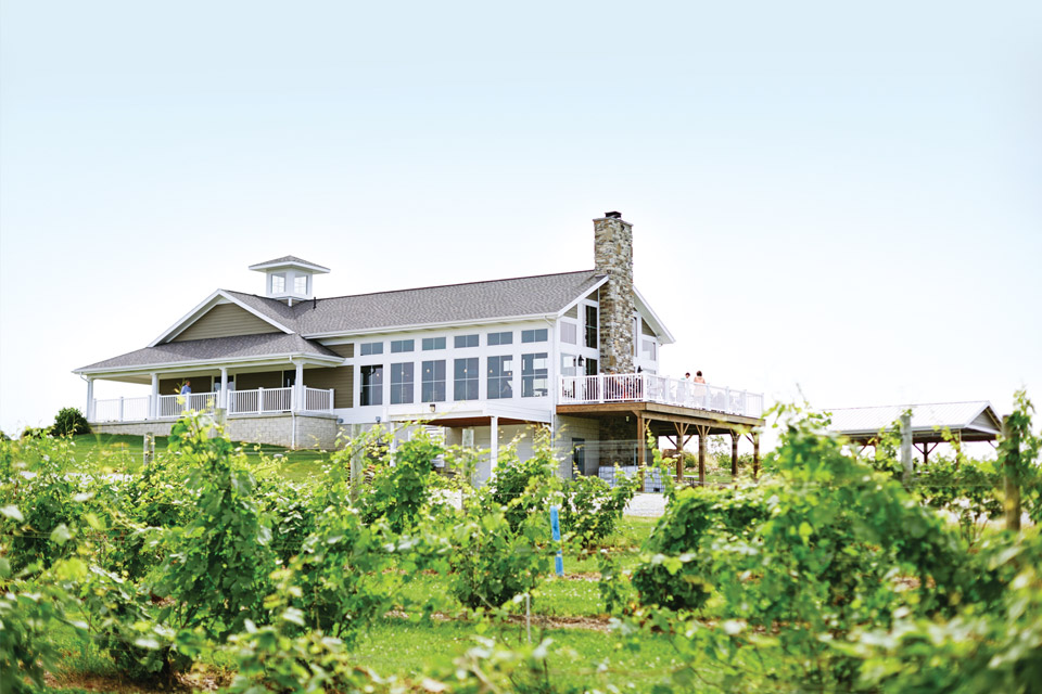 Quarry Hill Winery 2015 Quarry Hill Winery 2015