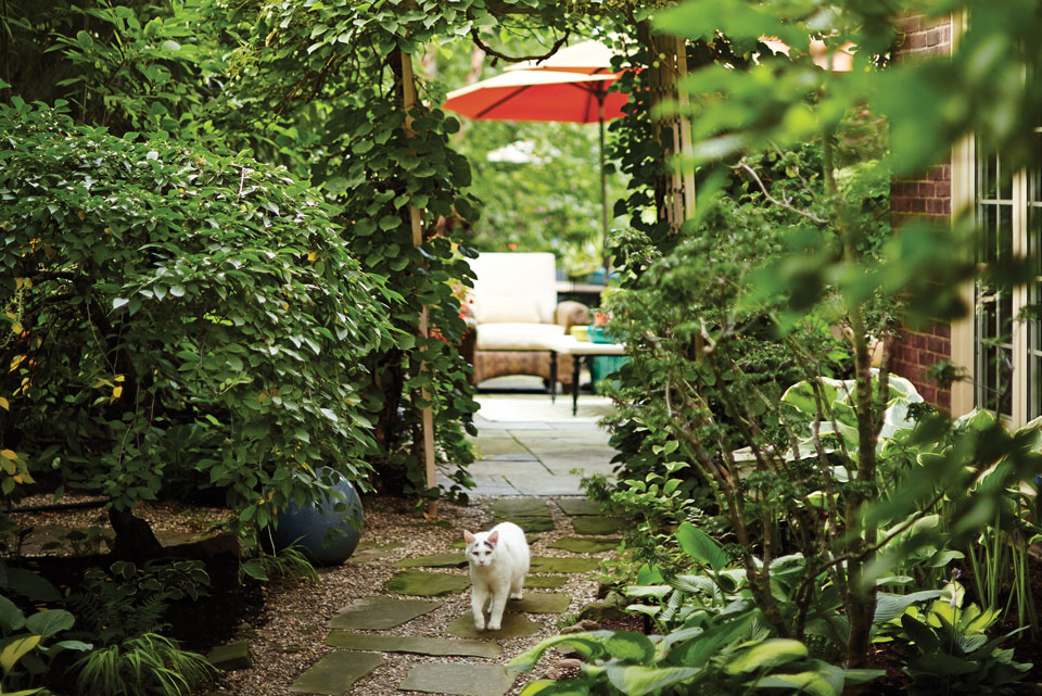 Ann Cicarella's Driveway Entry