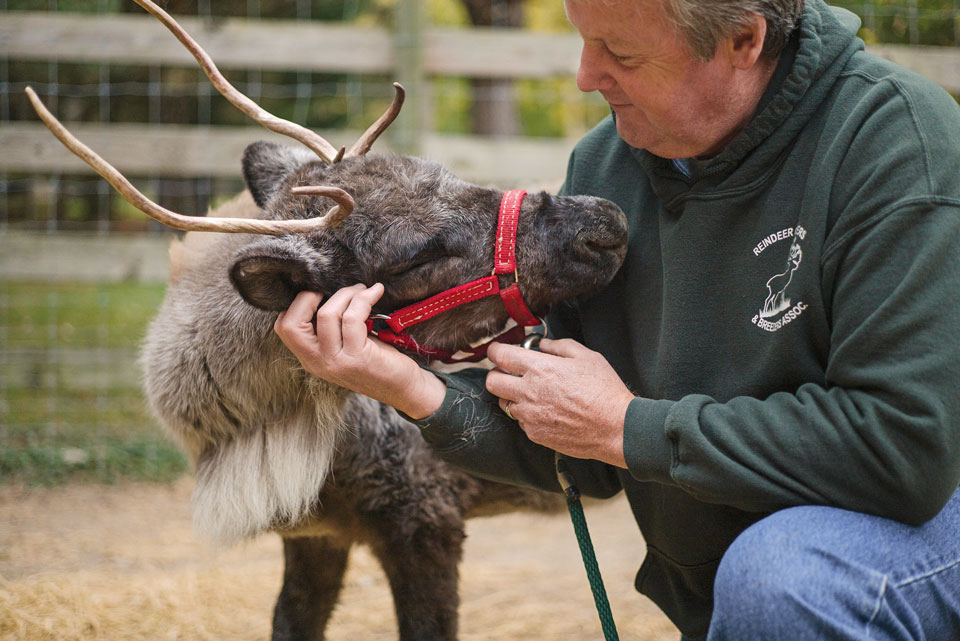 man_with_reindeer man_with_reindeer