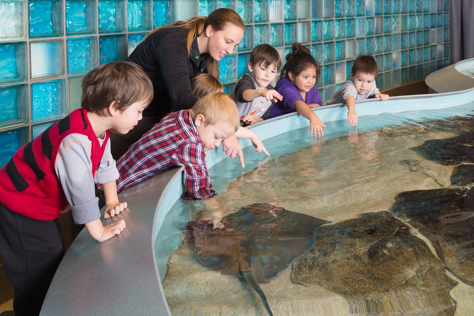 BoH_Toledo-Aquarium BoH_Toledo-Aquarium