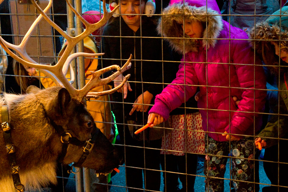 Gahanna Holiday Lights Celebration