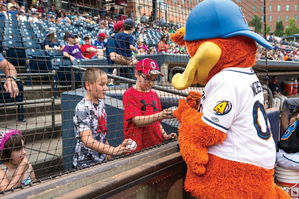 ball-parks-rubber-ducks ball-parks-rubber-ducks