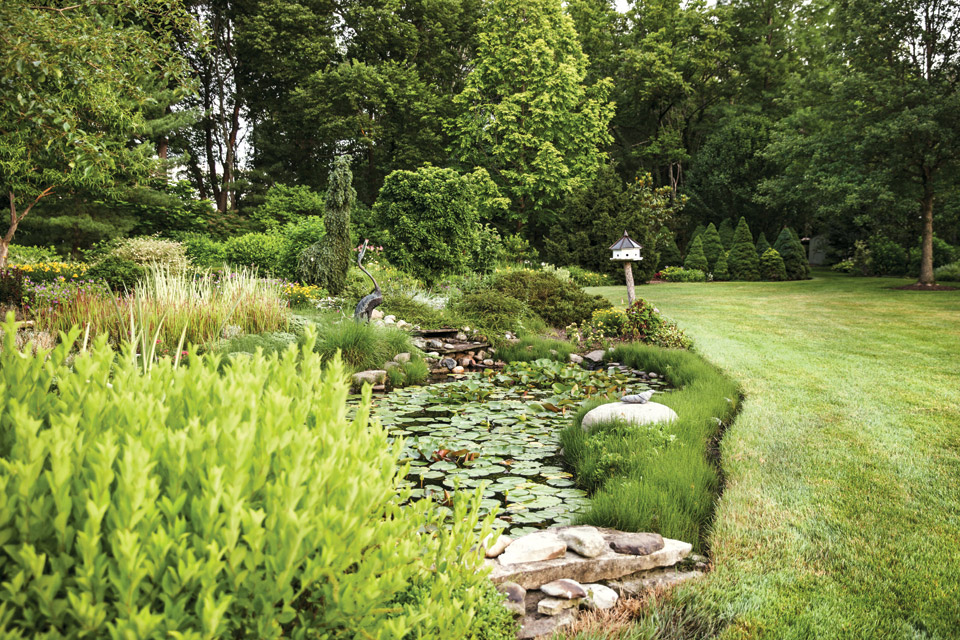 The pond at Beth Karp's Indian Hills home 