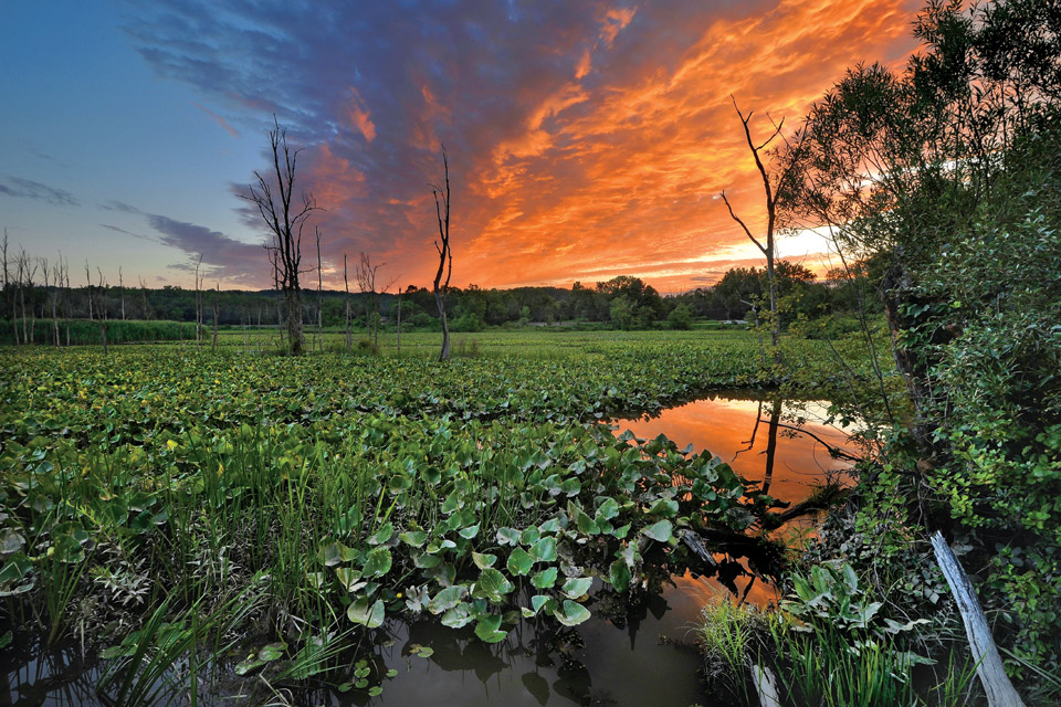 travel-natl-parks-cvnp-beaver-marsh travel-natl-parks-cvnp-beaver-marsh