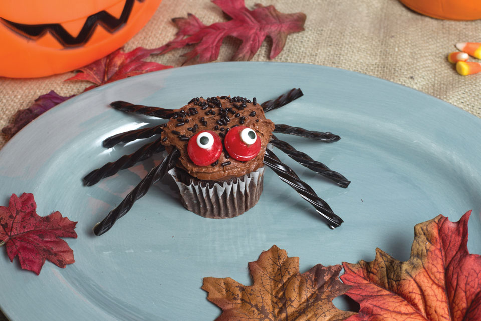 monthly dish_spider-cupcake_5074 monthly dish_spider-cupcake_5074