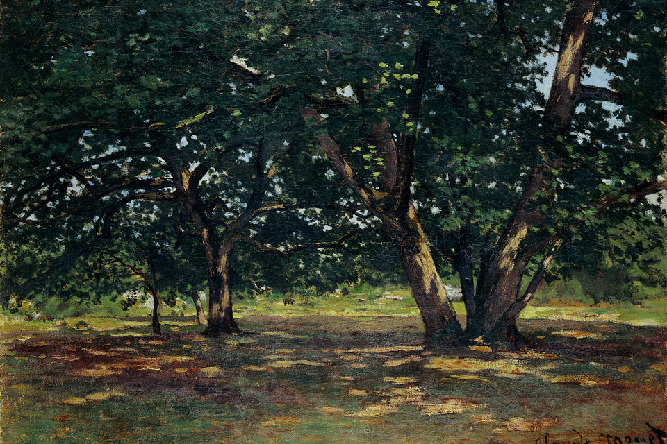 van gogh sous bois