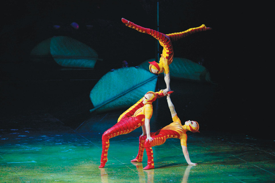 Cirque du Solei's "OVO"