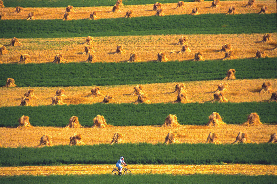 Amish girl on bicycle