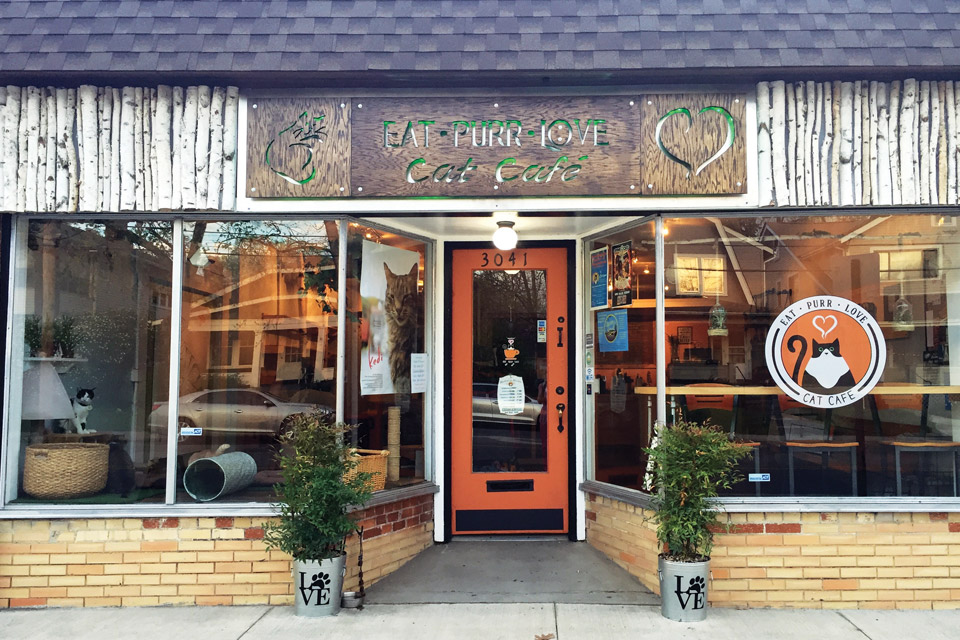 digest-cat-cafe-exterior digest-cat-cafe-exterior
