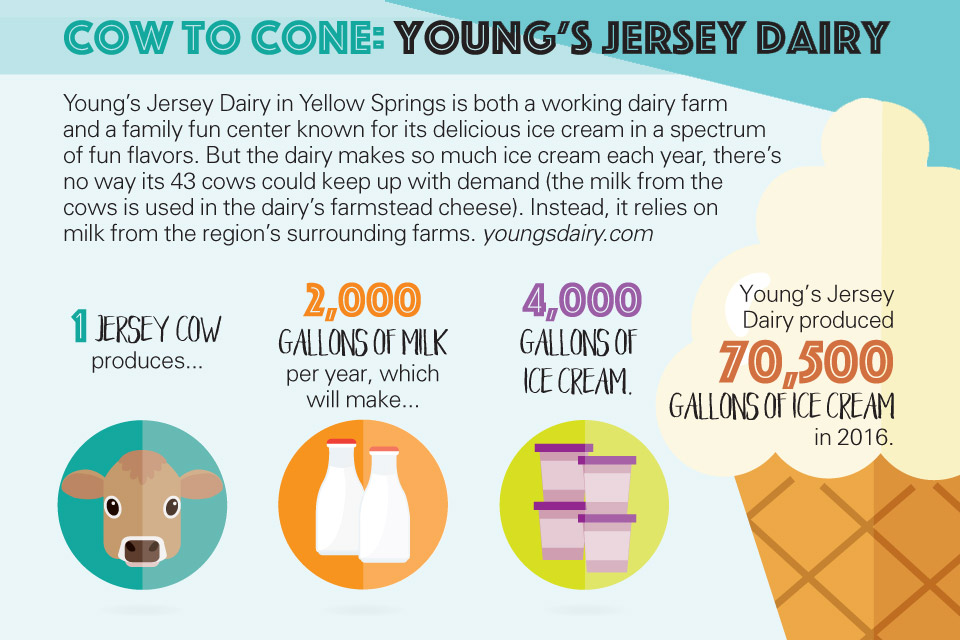 Young's Jersey Dairy Young's Jersey Dairy