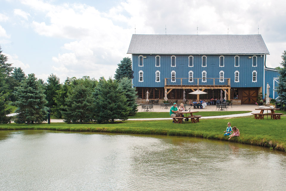 Blue-Barn_winery-pond-view Blue-Barn_winery-pond-view