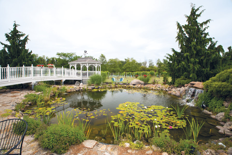 pond-at-Chateau-Tebeau_Winery pond-at-Chateau-Tebeau_Winery