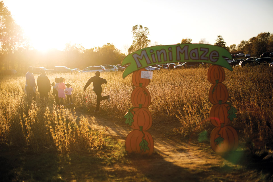 Mini Maze at Pigeon Roost Farm