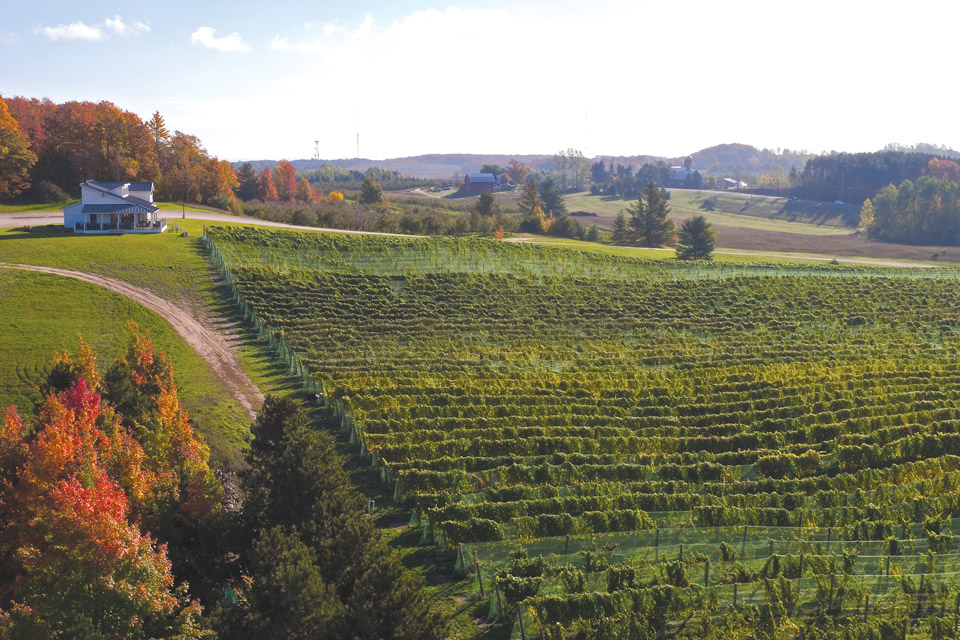 winery tours west michigan