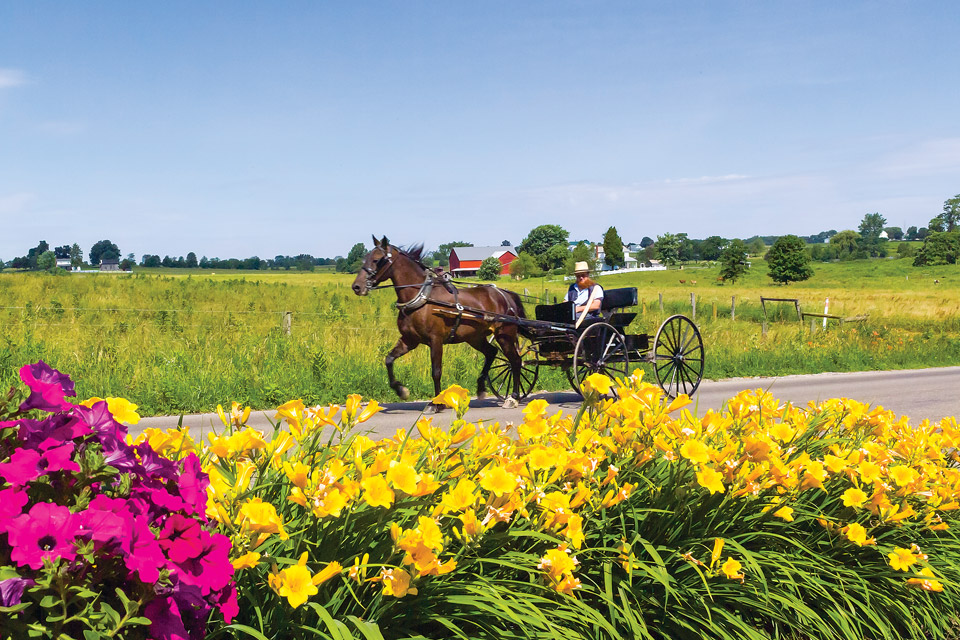 Amish Country (credit: Doyle Yoder)