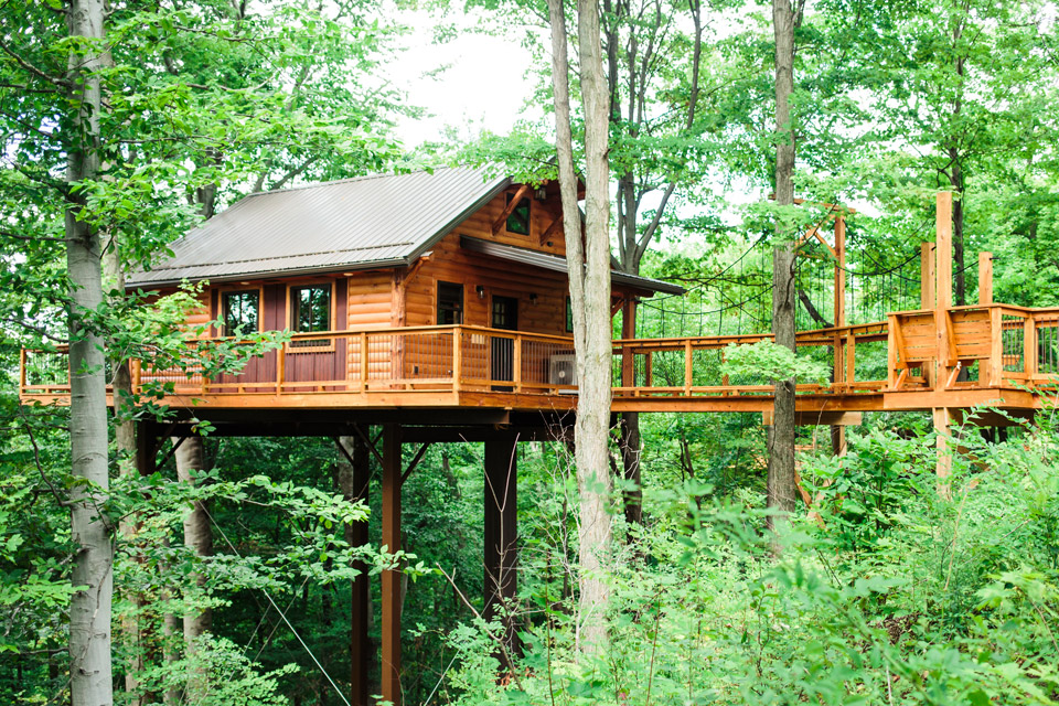 Berlin-Tree-house Berlin-Tree-house