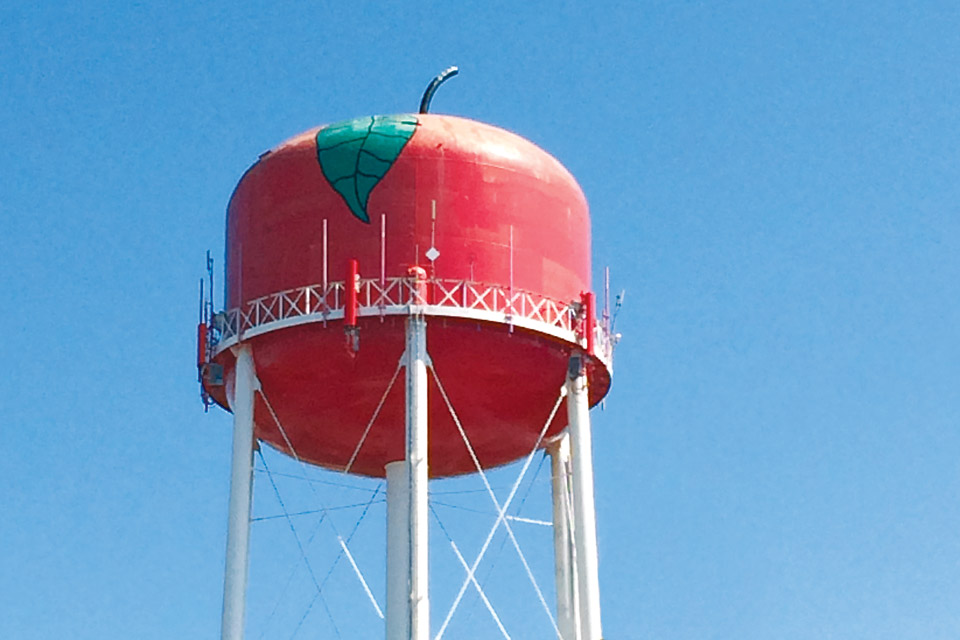 Apple Water Tower, Jackson