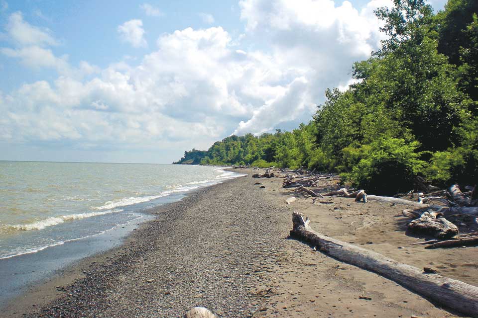 Lake Erie Bluffs 