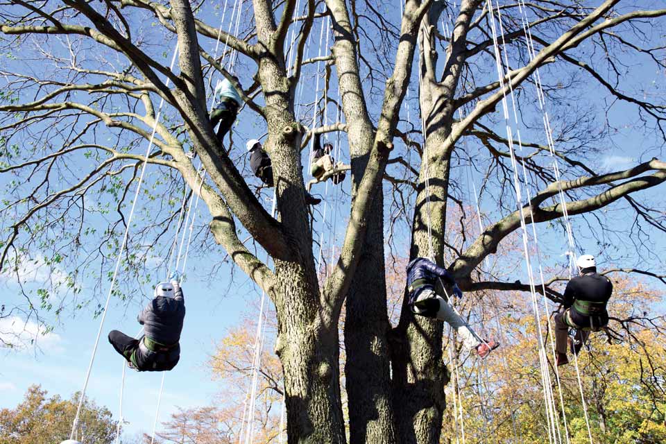 tree-climbing-lesson-toledo-metroparks tree-climbing-lesson-toledo-metroparks