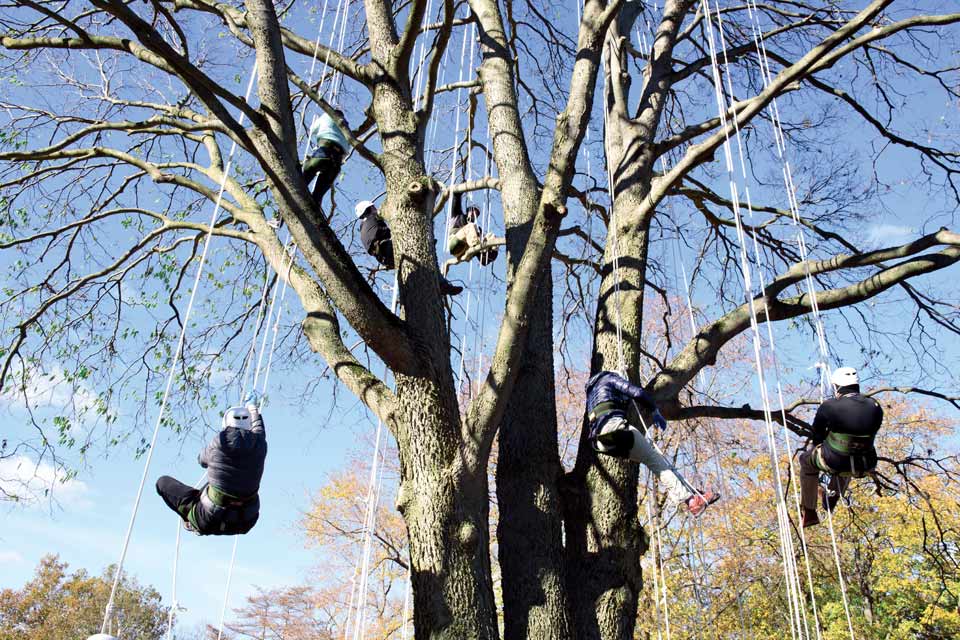 Tree-climbing lesson at Toledo Metroparks