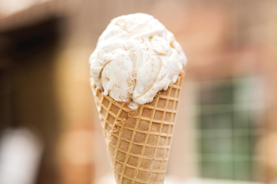 Velvet Ice Cream at the Taste of Ohio Cafe