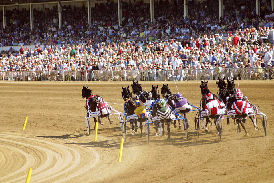 Little Brown Jug, Delaware