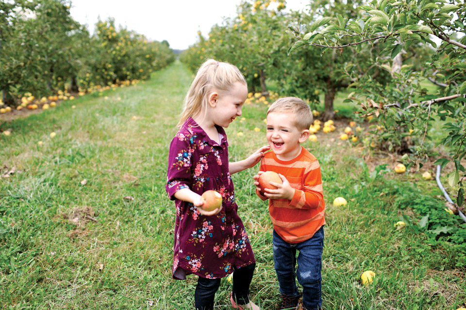 Lynd Fruit Farm, Pataskala