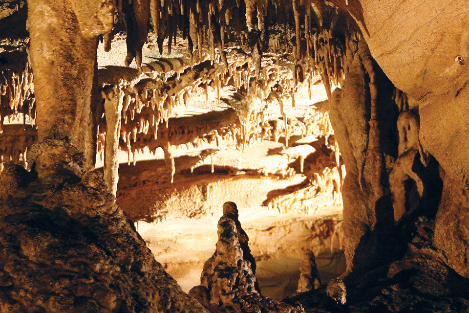 Mammoth Cave