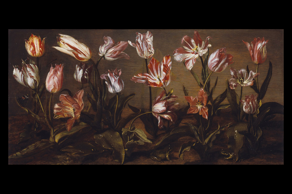 Jacob Gerritsz Cuyp’s “Bed of Tulips” is part of the Columbus Museum of Art exhibition. (Artwork collection of the Dordrecht Museum) 