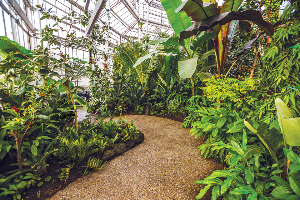 Toledo Natural Getaways