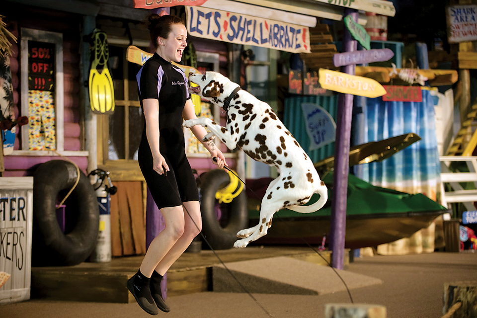 Surfin' Safari at the Columbus Zoo (photo by Grahm S. Jones)