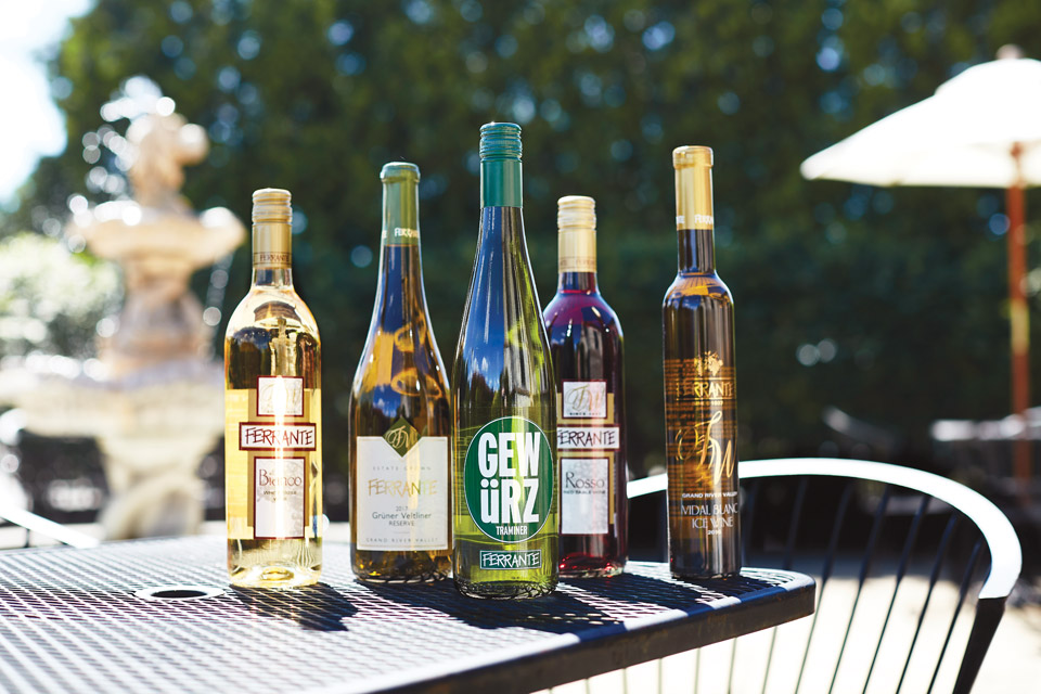 Wine bottles on table at Ferrante Winery 