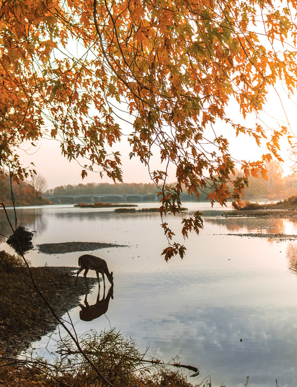 Sidecut Metropark (photo by Logan Brown)