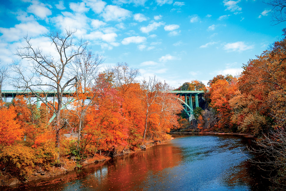 Rocky River Reservation (photo by Jen Goellnitz)