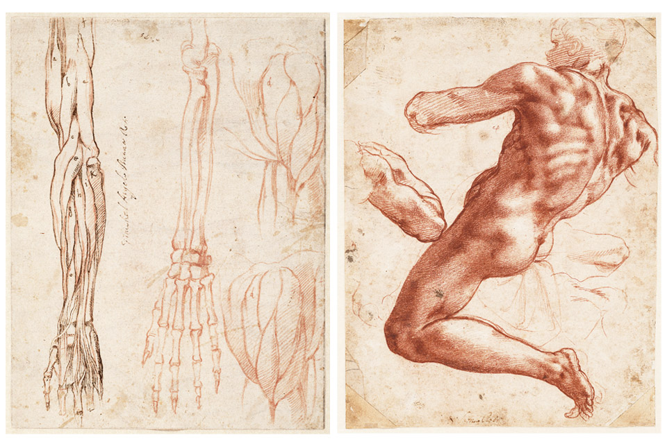 Seated Male and Study of Left Arm and Shoulder Michelangelo