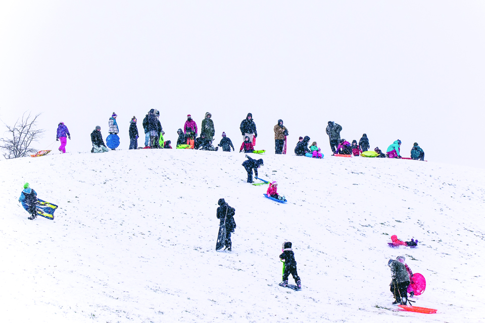 Sledders at Fryer Park in Grove City