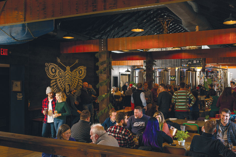 Nocterra Brewing Co., Powell