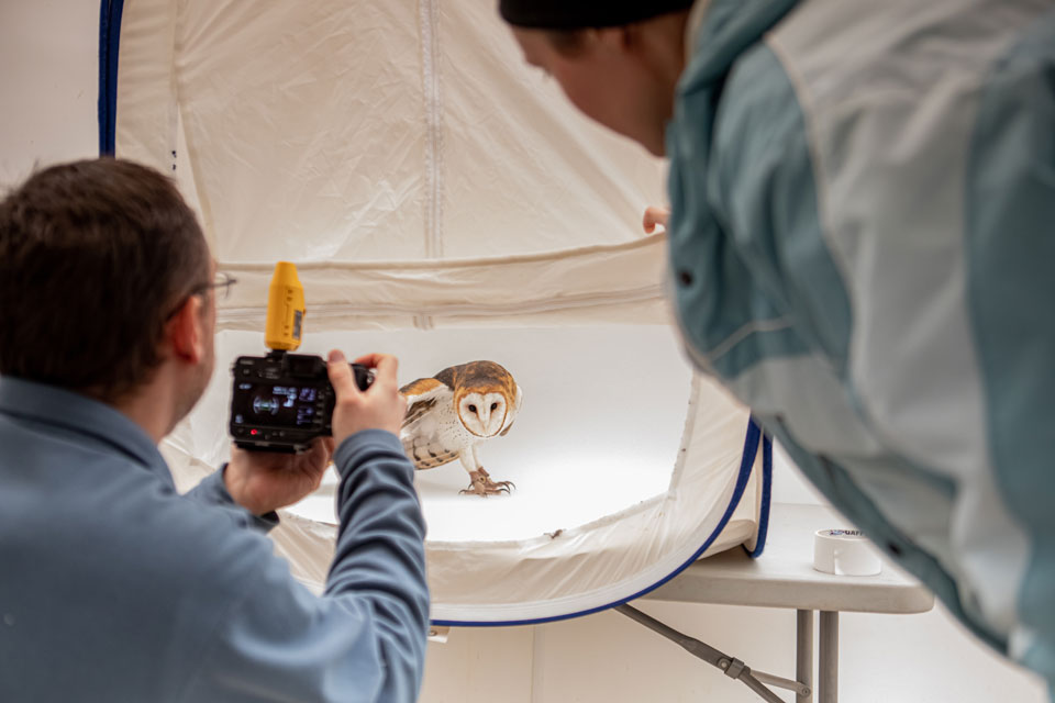 David Fitzsimmons photographing a barn owl