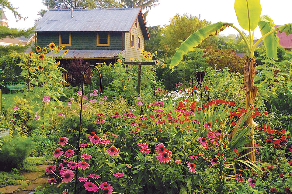 Clifton Garden Cabin (photo courtesy of Clifton Garden Cabin) Clifton Garden Cabin (photo courtesy of Clifton Garden Cabin)