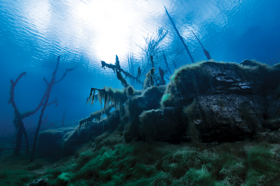 Gilboa Quarry (photo by Brandon Schwartz)