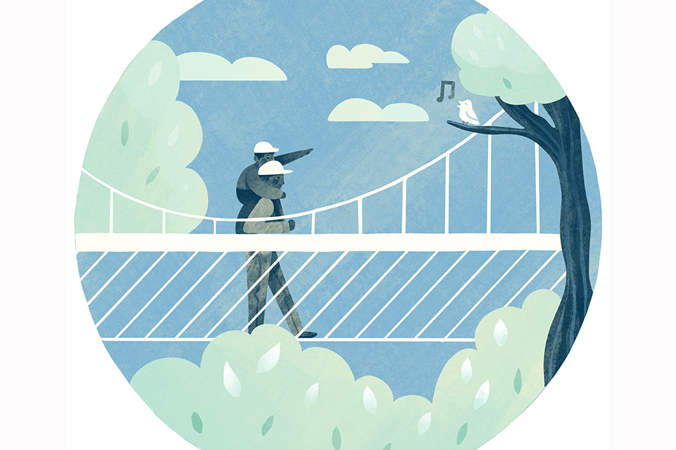 Murch Canopy Walk (illustration by Diana Bolton) Murch Canopy Walk (illustration by Diana Bolton)