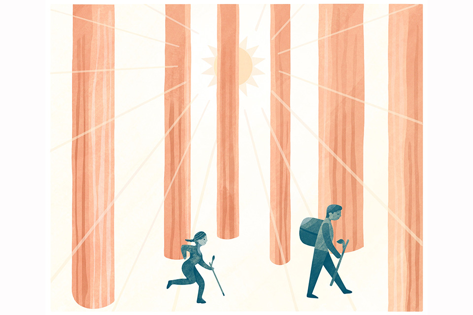 Explore Oak Openings (illustration by Diana Bolton) Explore Oak Openings (illustration by Diana Bolton)