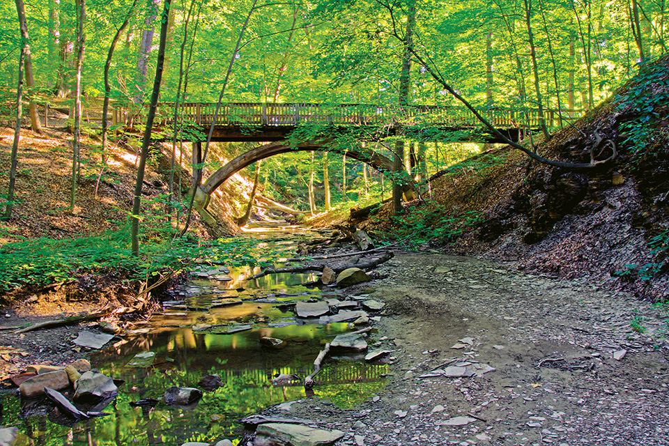 Highbanks Metropark ravine and bridge (photo by Terrence Peck)